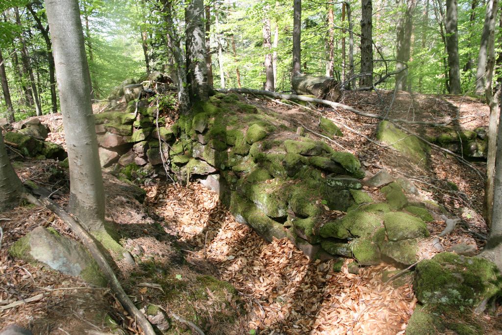 Ligne Maginot - Observatoire du Bunschel Bas -  - GRUBER Franck