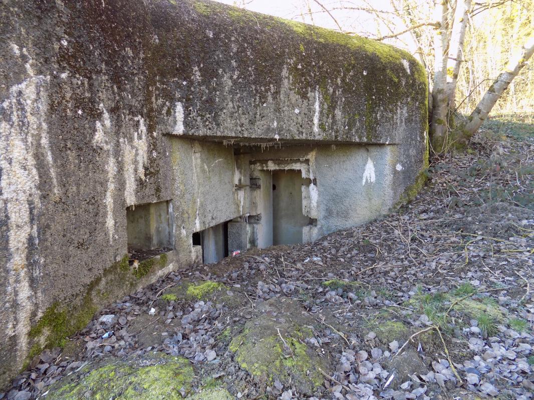 Ligne Maginot - A71 - VILLERS SEMEUSE - (Casemate d'infanterie - Simple) - Les entrées - R Tucker