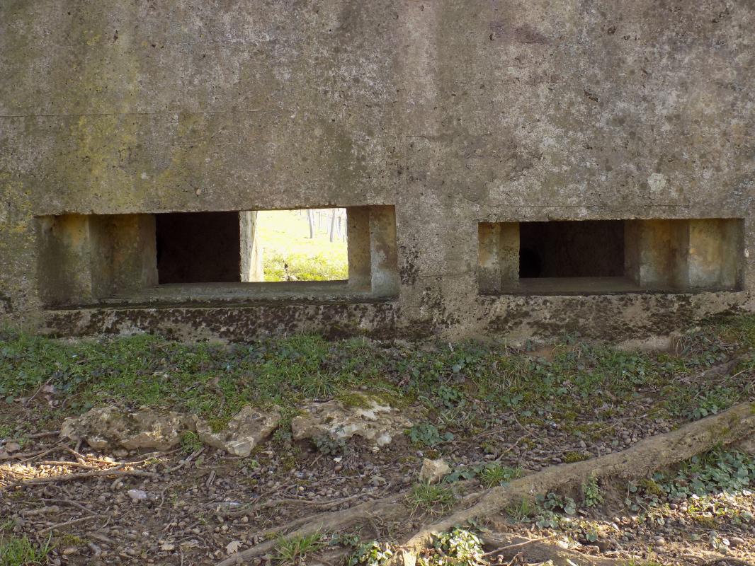Ligne Maginot - 2B - VAUX LES MOUZON OUEST - (Blockhaus pour canon) - Face nord-ouest, les créneaux AC et Hotchkiss - R Tucker