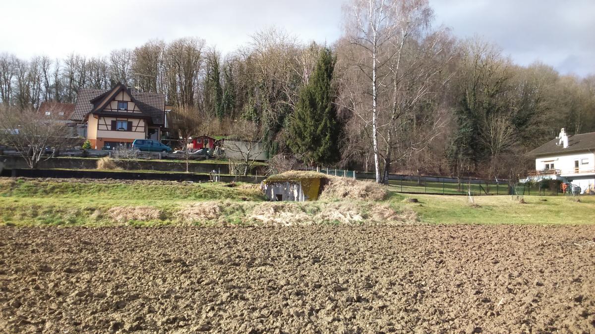 Ligne Maginot - B688 - HESINGUE NORD 1 - (Blockhaus pour arme infanterie) - Vue depuis le bord du champ - Mathieu Régli