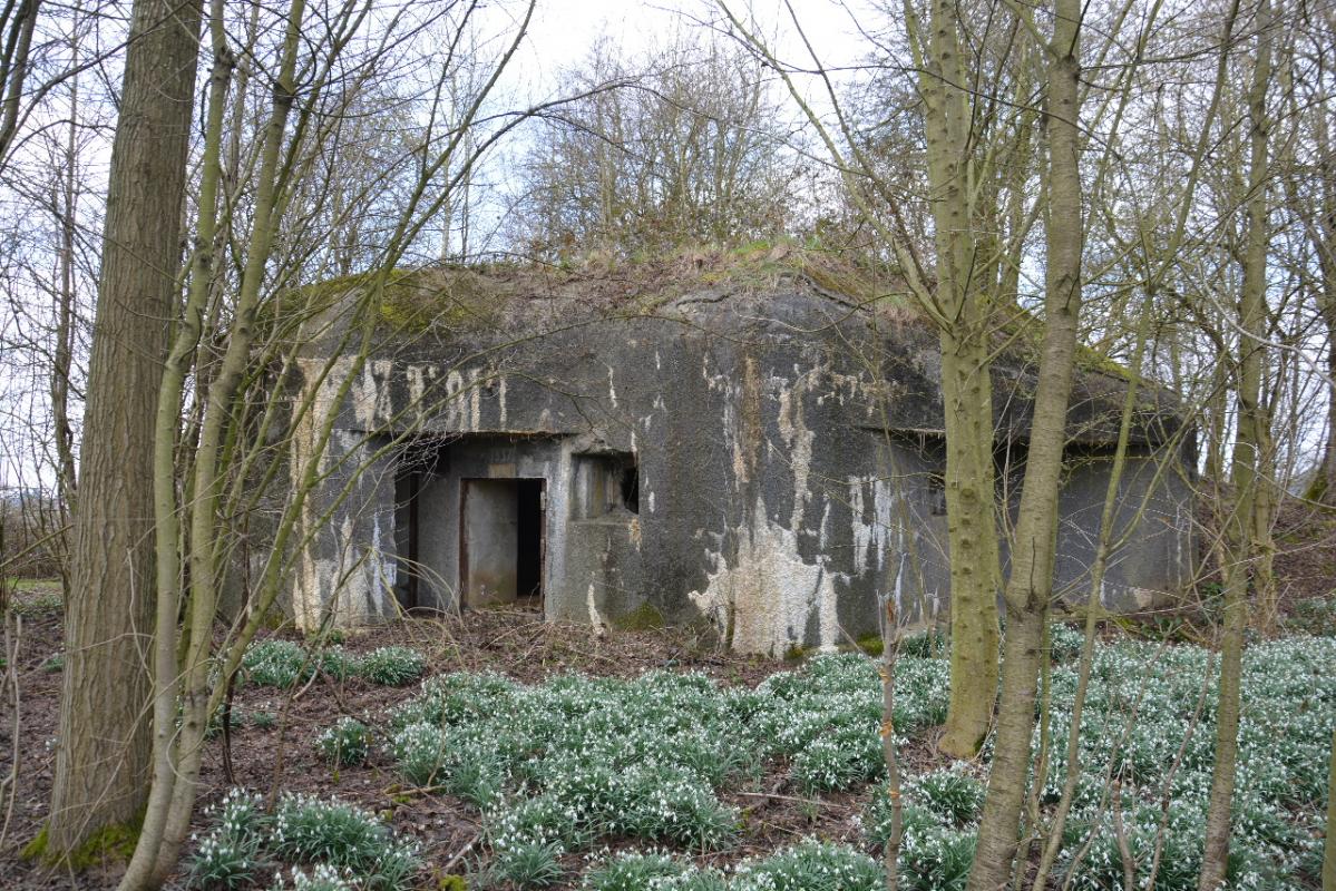Ligne Maginot - Blockhaus B 540 - RUAINCE - Le blockhaus est en bordure du chemin du Bois sur la commune de La Flamengrie (59)presque complétement dissimulé par la végétation - Jean PISSON