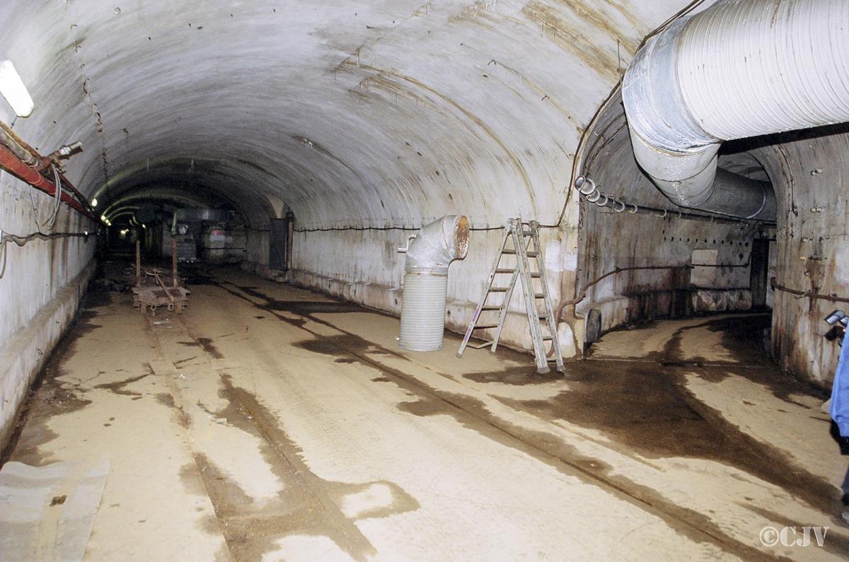 Ligne Maginot - ANZELING - A25 - (Ouvrage d'artillerie) - Gare près de M1 - Lia VERMEULEN