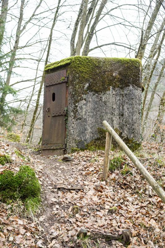 Ligne Maginot - FM82 - FINSTERTHAL 1 - (Blockhaus pour arme infanterie) -  - Lia VERMEULEN