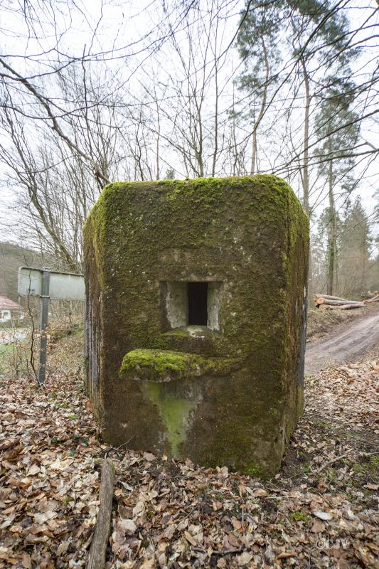 Ligne Maginot - FM82 - FINSTERTHAL 1 - (Blockhaus pour arme infanterie) -  - Lia VERMEULEN