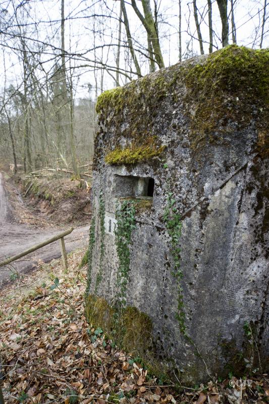 Ligne Maginot - FM82 - FINSTERTHAL 1 - (Blockhaus pour arme infanterie) -  - Lia VERMEULEN