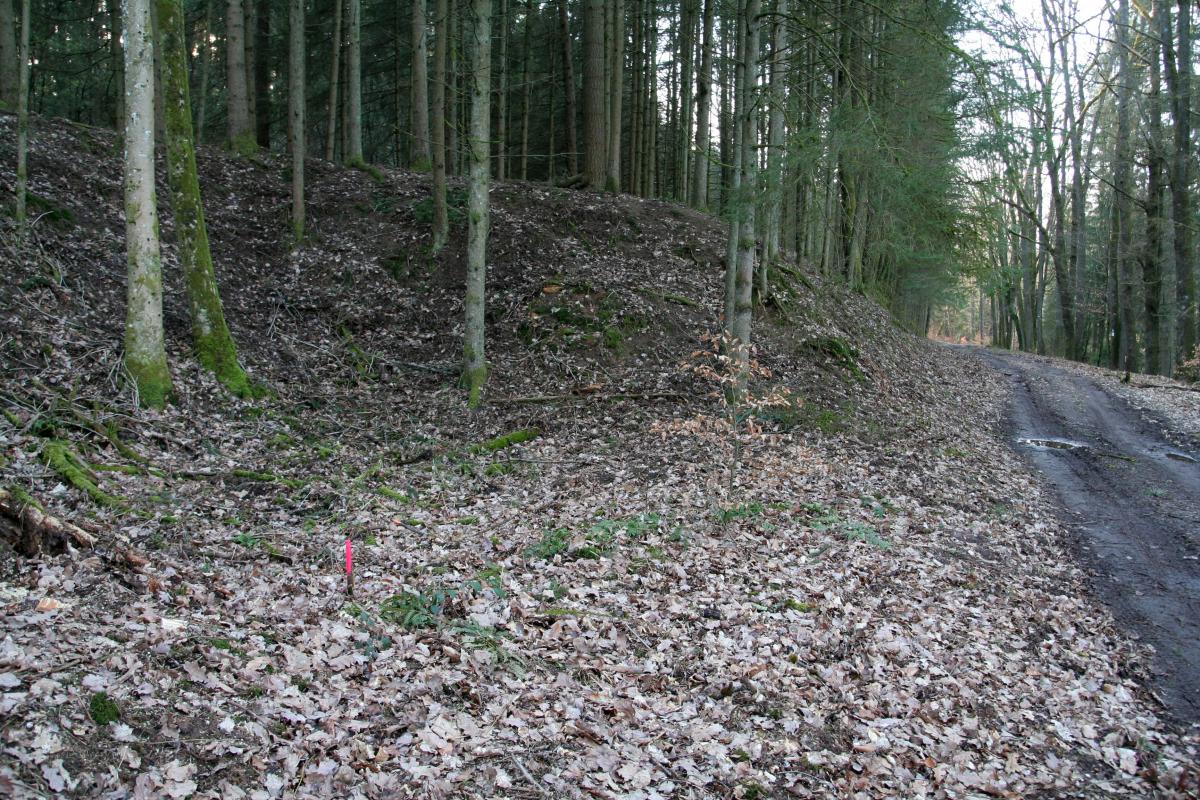 Ligne Maginot - NEUNHOFFEN NORD OUEST 5 - (Blockhaus pour canon) - Fouilles - Benoit HENRICH