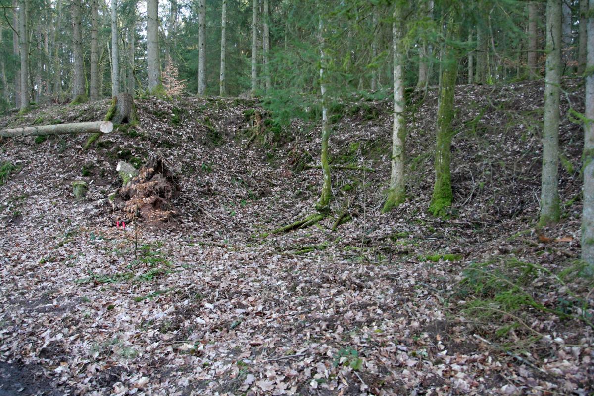 Ligne Maginot - NEUNHOFFEN NORD OUEST 5 - (Blockhaus pour canon) - Fouilles - Benoit HENRICH