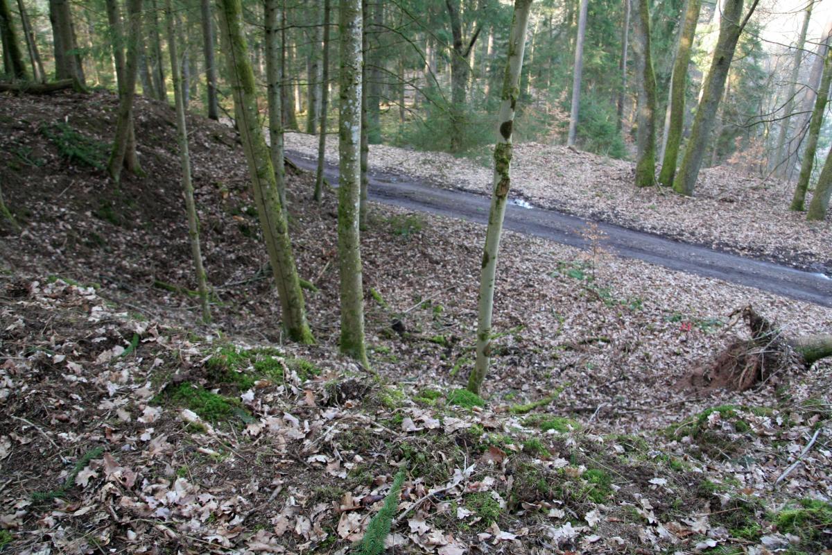 Ligne Maginot - NEUNHOFFEN NORD OUEST 5 - (Blockhaus pour canon) - Fouilles - Benoit HENRICH