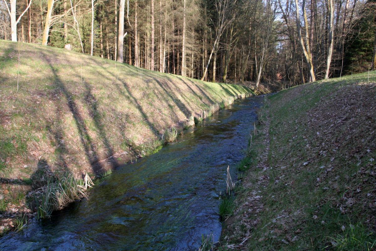 Ligne Maginot - GRAFENWEIHER Centre (Barrage 06) (Inondation défensive) - Etat après les travaux de 2014 - Benoit HENRICH
