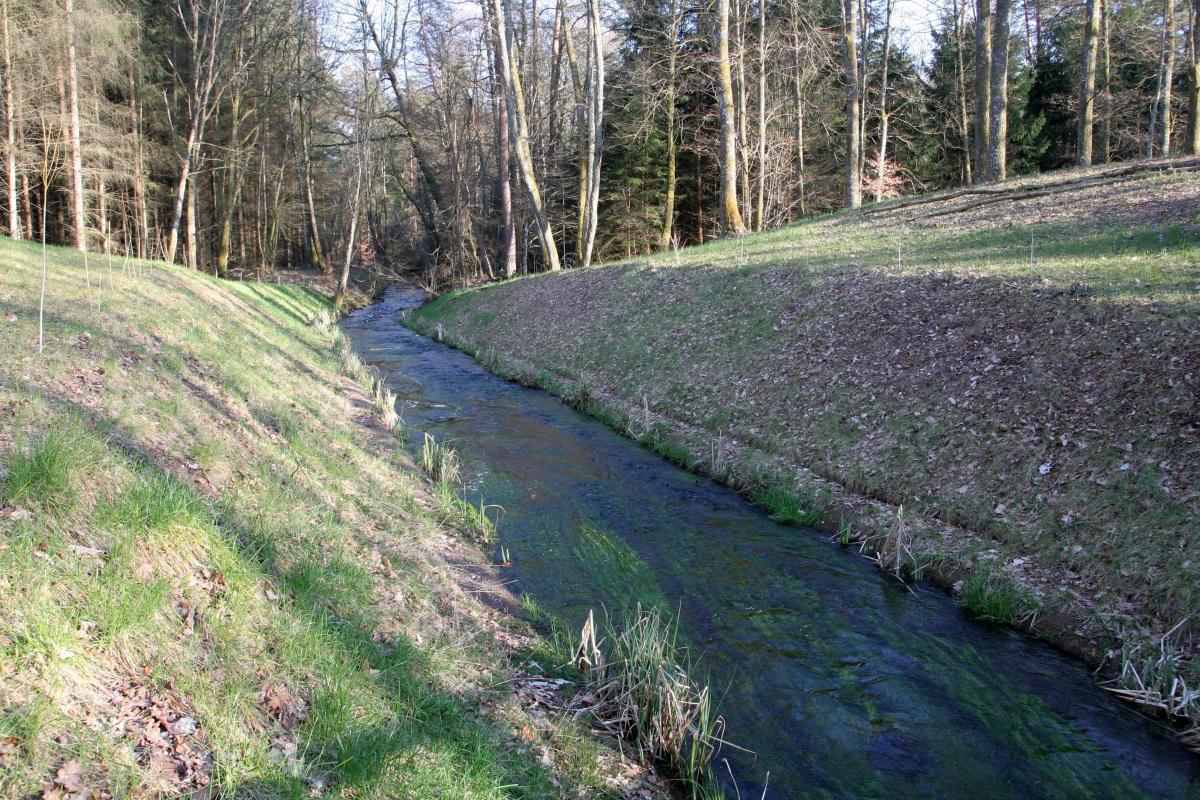 Ligne Maginot - GRAFENWEIHER Centre (Barrage 06) (Inondation défensive) - Etat après les travaux de 2014 - Benoit HENRICH