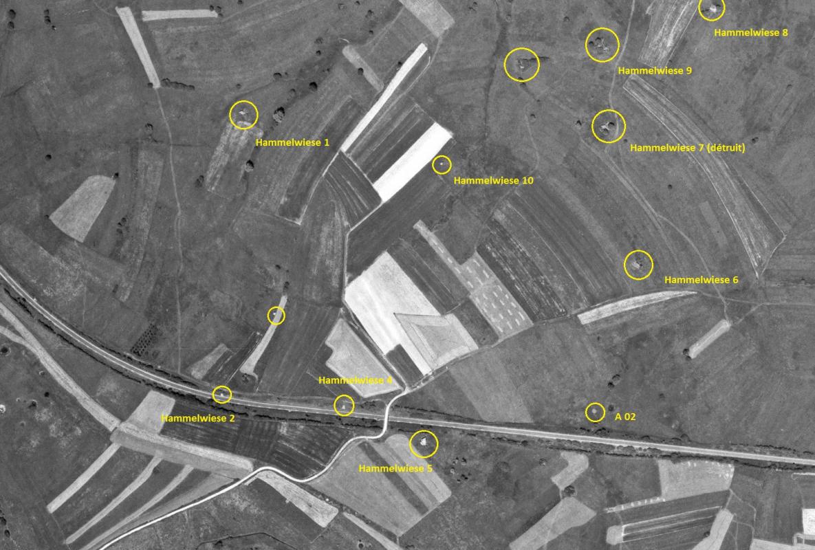 Ligne Maginot - Groupe des HAMMELSWIESE en 1967 -  - Geoportail - IGN 1967