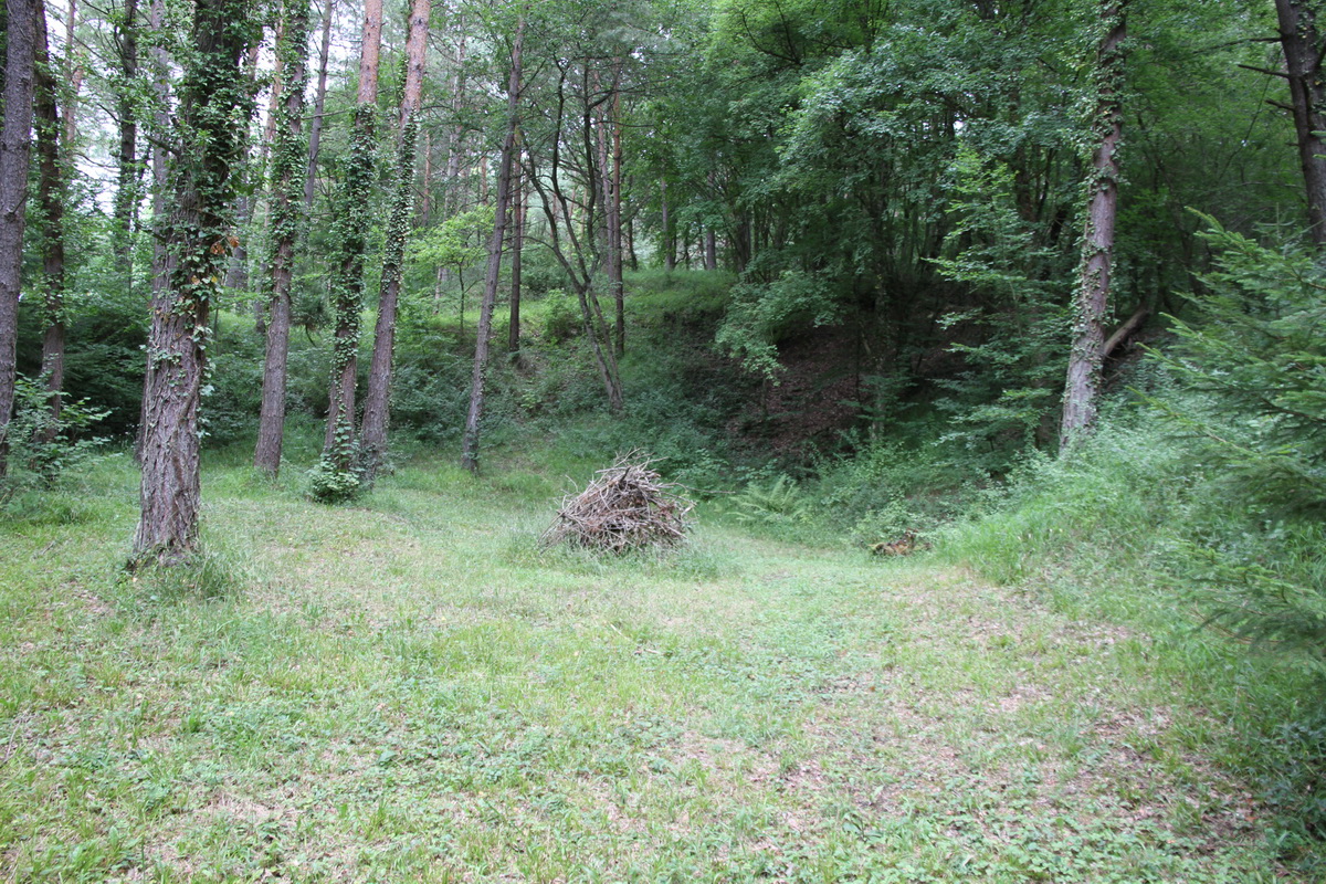 Ligne Maginot - INGWILLER - MOULIN VOLLACH (RFL) - Le site du PC - Alain Perouffe