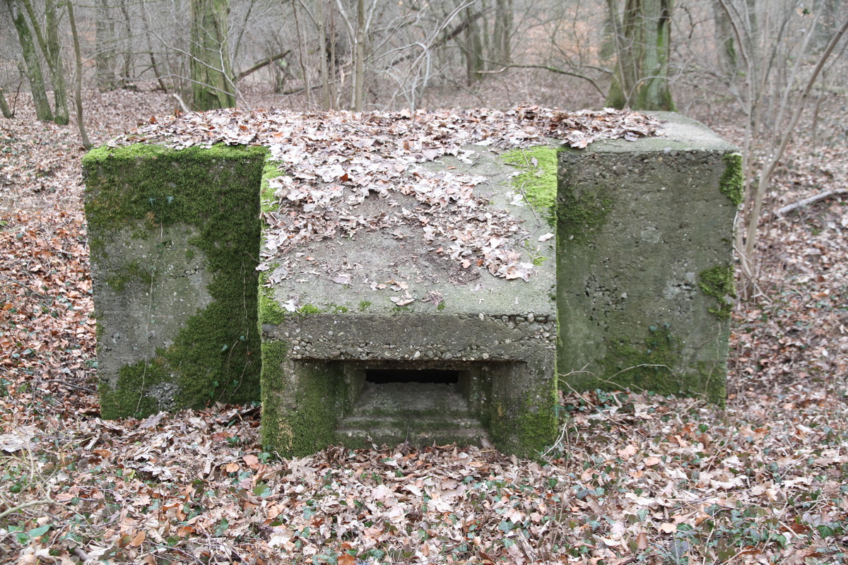Ligne Maginot - AB5-E - (Blockhaus pour arme infanterie) -  - Alain Perouffe