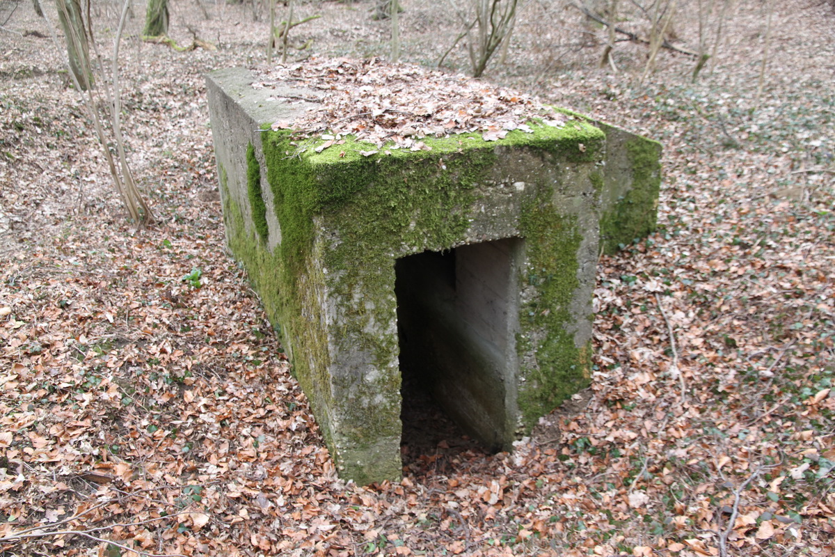 Ligne Maginot - AB5-E - (Blockhaus pour arme infanterie) -  - Alain Perouffe