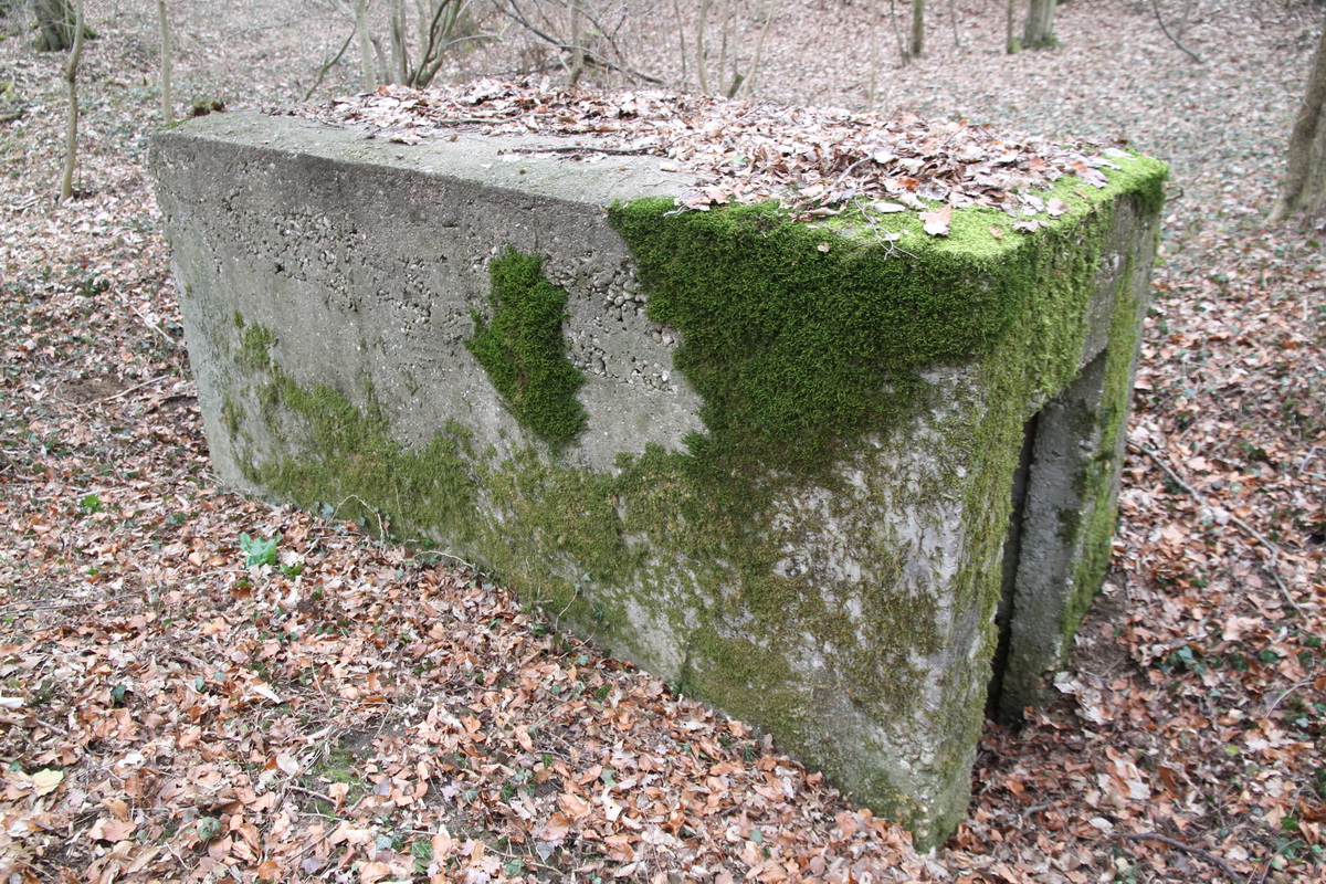 Ligne Maginot - AB5-E - (Blockhaus pour arme infanterie) -  - Alain Perouffe