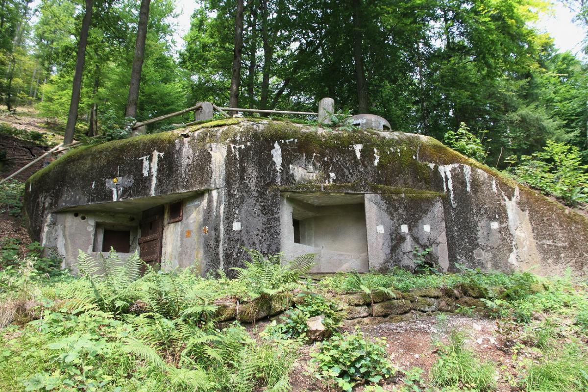 Ligne Maginot - GUNSTHAL FERME OUEST - (Blockhaus pour arme infanterie) - Façade du blockhaus - JOLAS, Jean-Michel