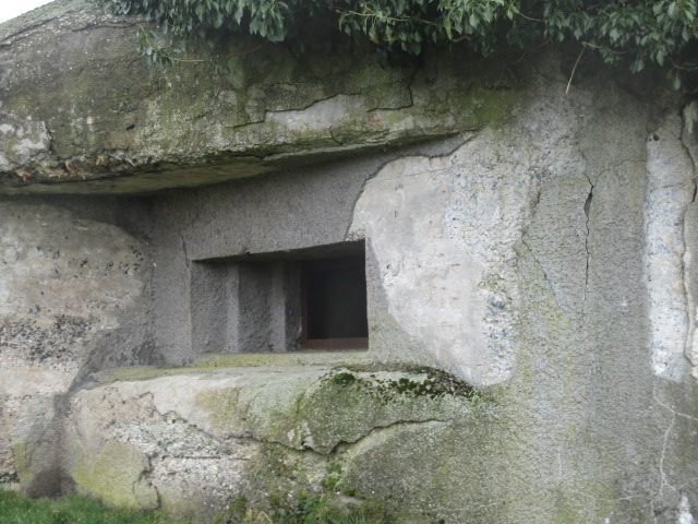 Ligne Maginot - B534 - LA WARPE NORD - (Blockhaus pour canon) -  - Smardz Félix