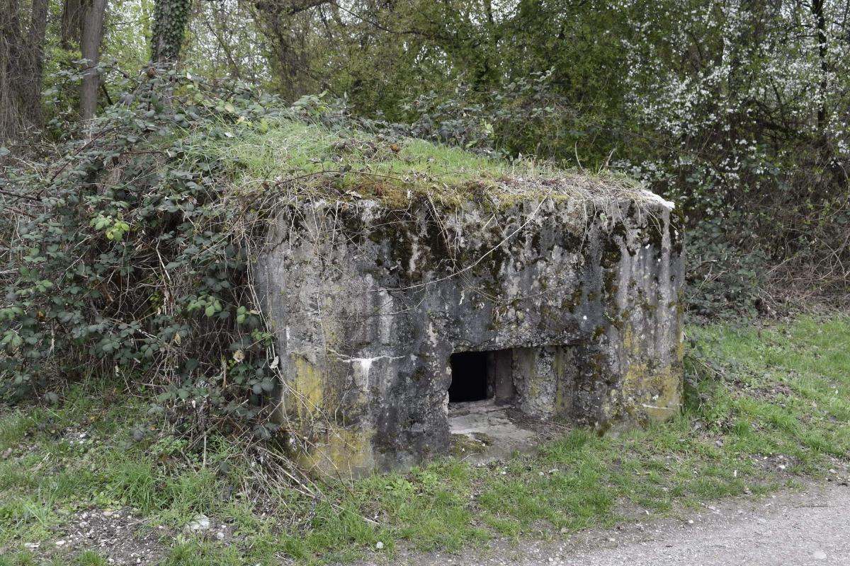 Ligne Maginot - VILLAGE-NEUF BERGE 5 - (Blockhaus pour arme infanterie) -  - D. Froehly