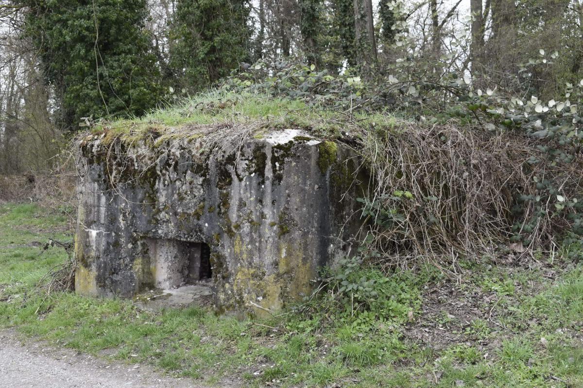 Ligne Maginot - VILLAGE-NEUF BERGE 5 - (Blockhaus pour arme infanterie) -  - D. Froehly
