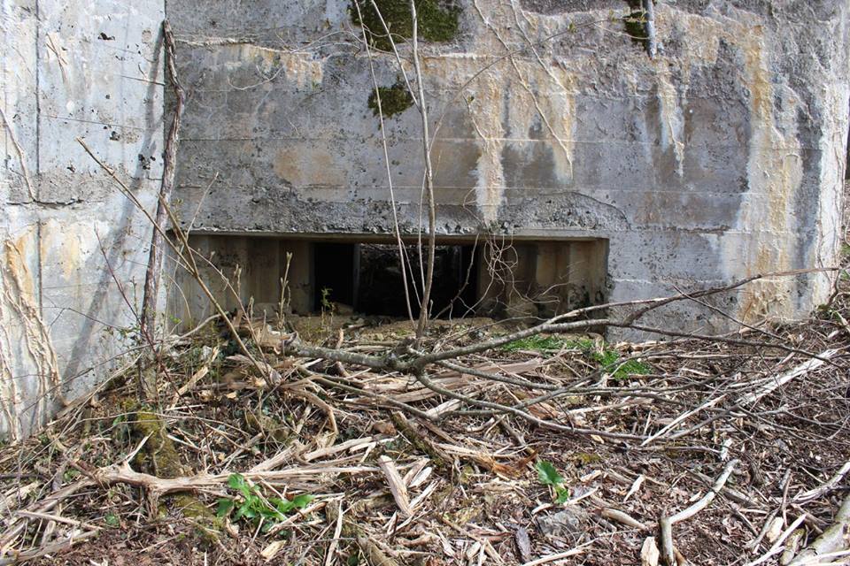 Ligne Maginot - DB340 - GRAVISSIERE - (Blockhaus pour canon) -  - COLLET Thierry
