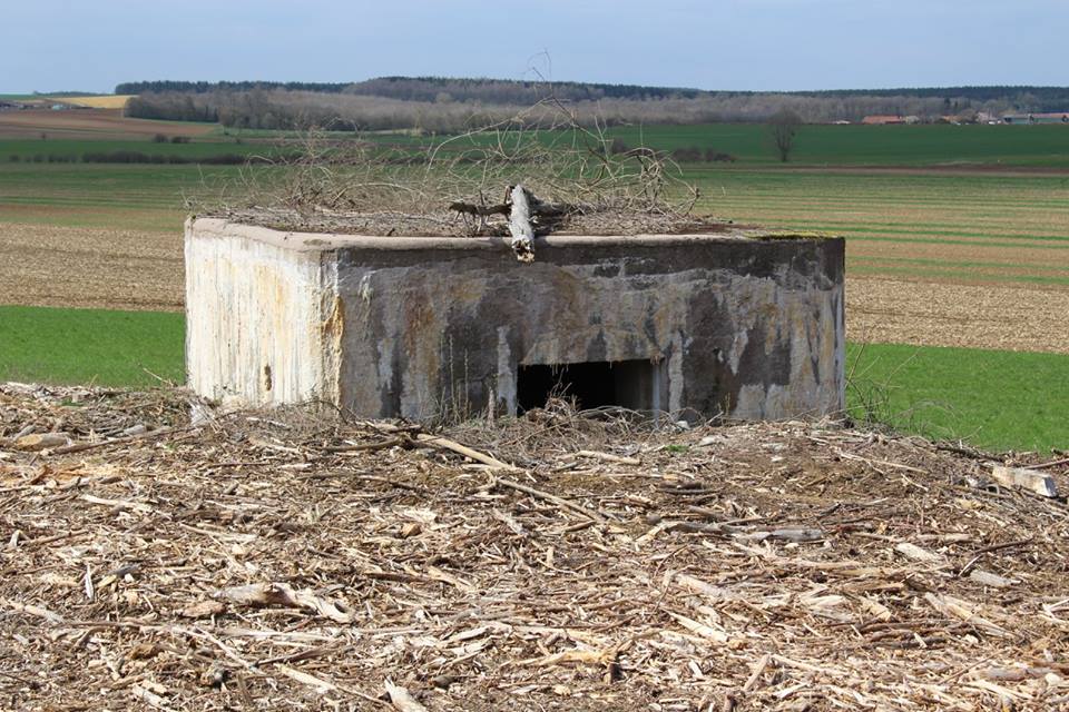 Ligne Maginot - DB340 - GRAVISSIERE - (Blockhaus pour canon) - L'entrée pour la piéce - COLLET Thierry