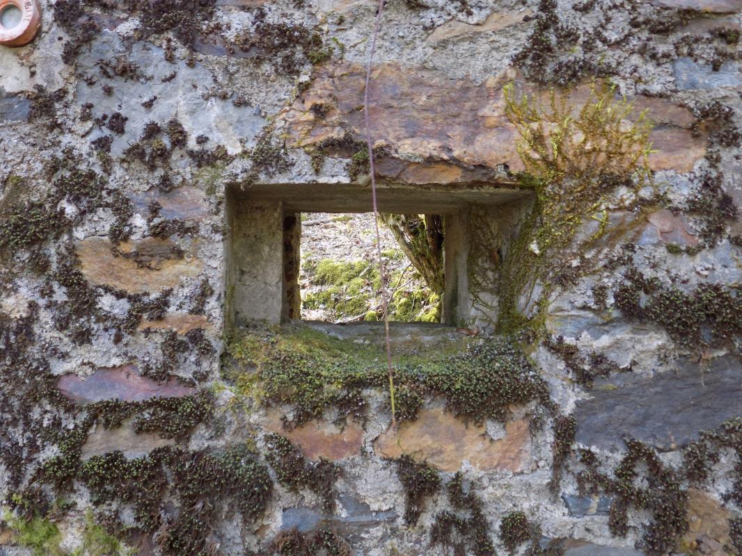 Ligne Maginot - BA106 - ROUTE DE REVIN 3 - (Blockhaus pour arme infanterie) - Face frontale gauche, créneau Hotchkiss - R Tucker