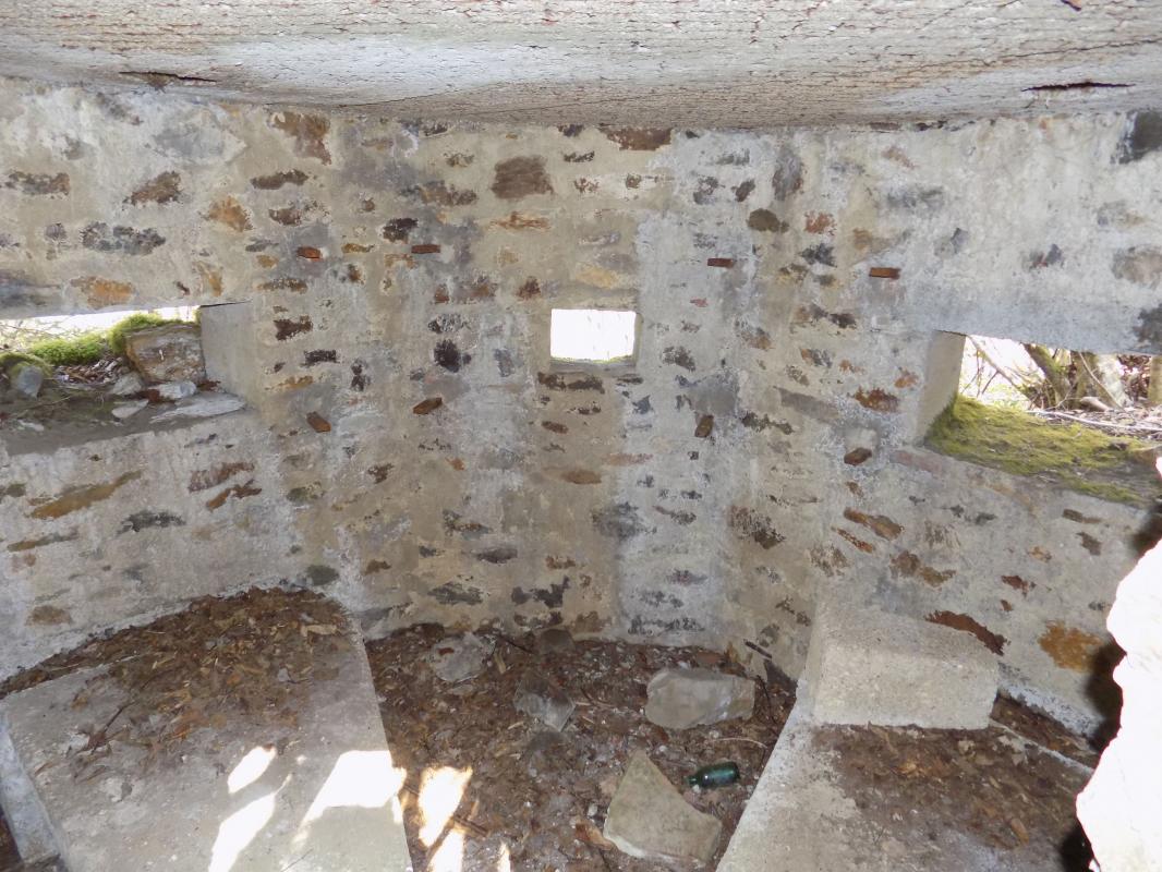Ligne Maginot - BA106 - ROUTE DE REVIN 3 - (Blockhaus pour arme infanterie) - Créneaux Hotchkiss, Obs/FM, Hotchkiss - R Tucker
