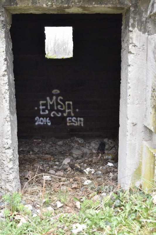 Ligne Maginot - ROSENAU BERGE 5 - (Blockhaus pour arme infanterie) -  - D. Froehly