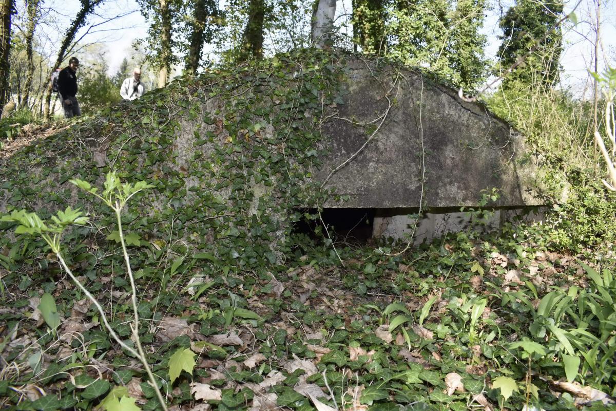 Ligne Maginot - HERRENFELD (II/34°RIF ) - (PC de Quartier) - Abri 3
Ouverture d'aération/éclairage - D. Froehly