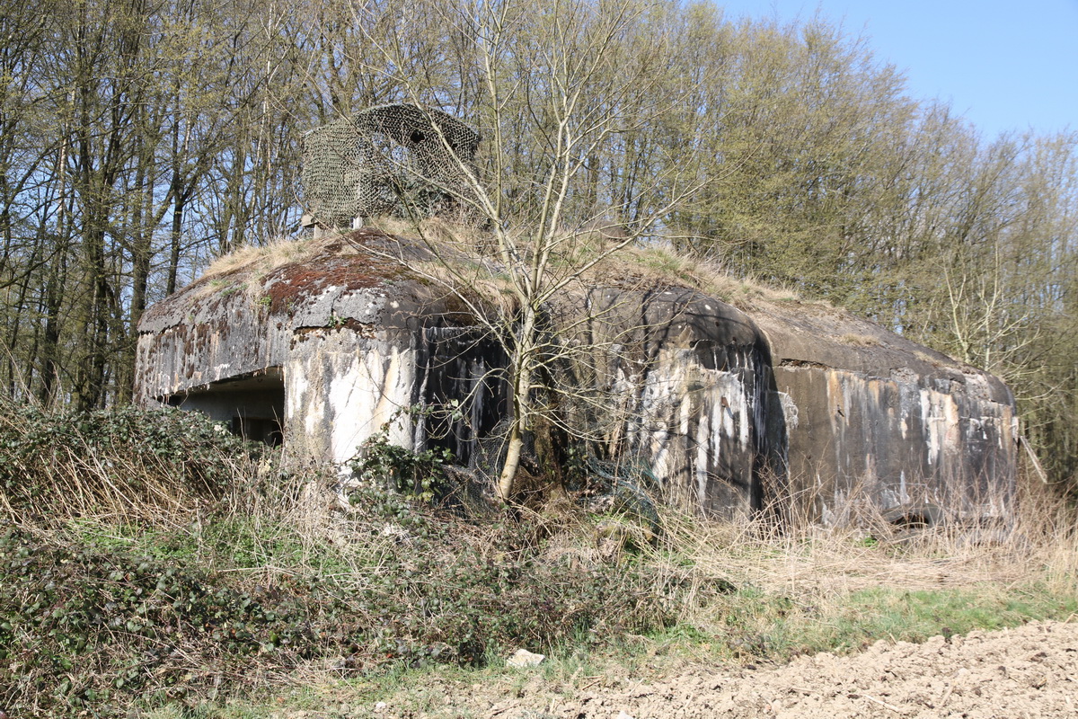 Ligne Maginot - Blockhaus B730 - FERME CLAVON -  - Alain Perouffe