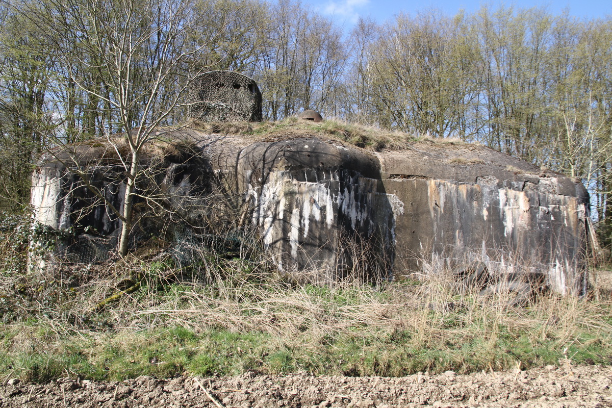 Ligne Maginot - Blockhaus B730 - FERME CLAVON -  - Alain Perouffe