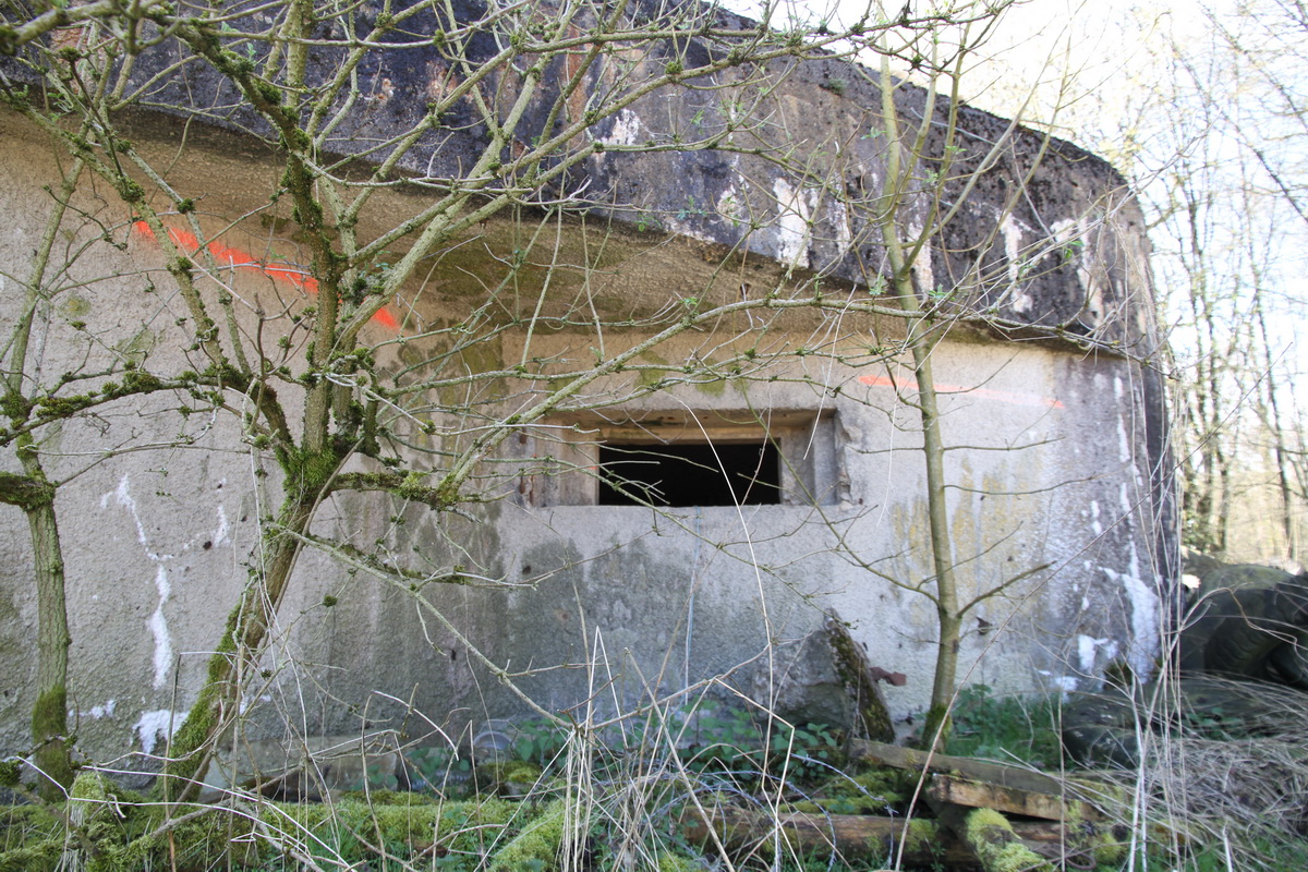 Ligne Maginot - Blockhaus B730 - FERME CLAVON - Créneau nord - Alain Perouffe