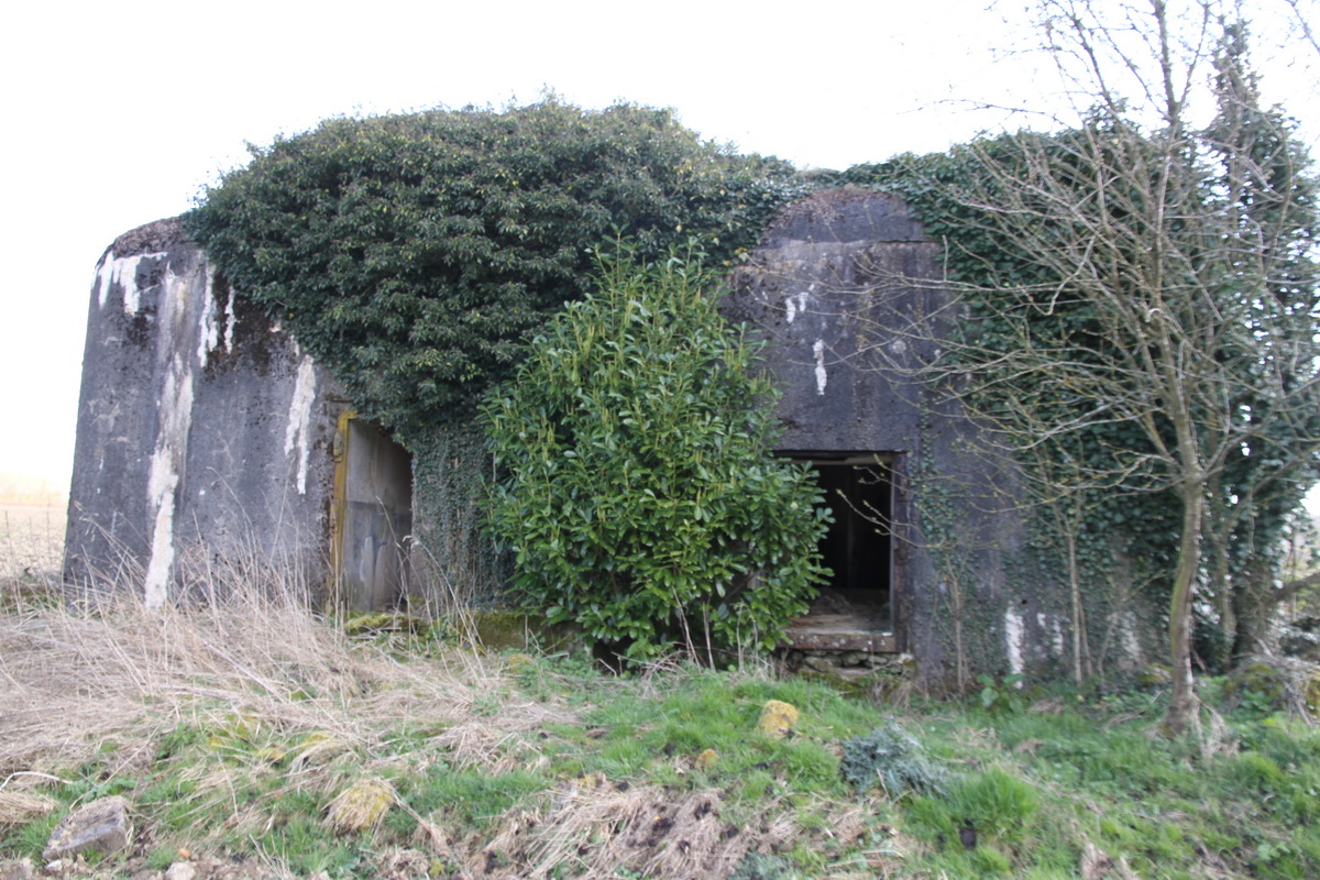 Ligne Maginot - B727 - FILS DE FER - (Blockhaus pour canon) -  - Alain Perouffe