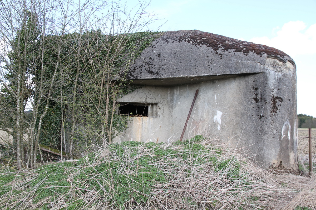 Ligne Maginot - B727 - FILS DE FER - (Blockhaus pour canon) - Façade sud - Alain Perouffe
