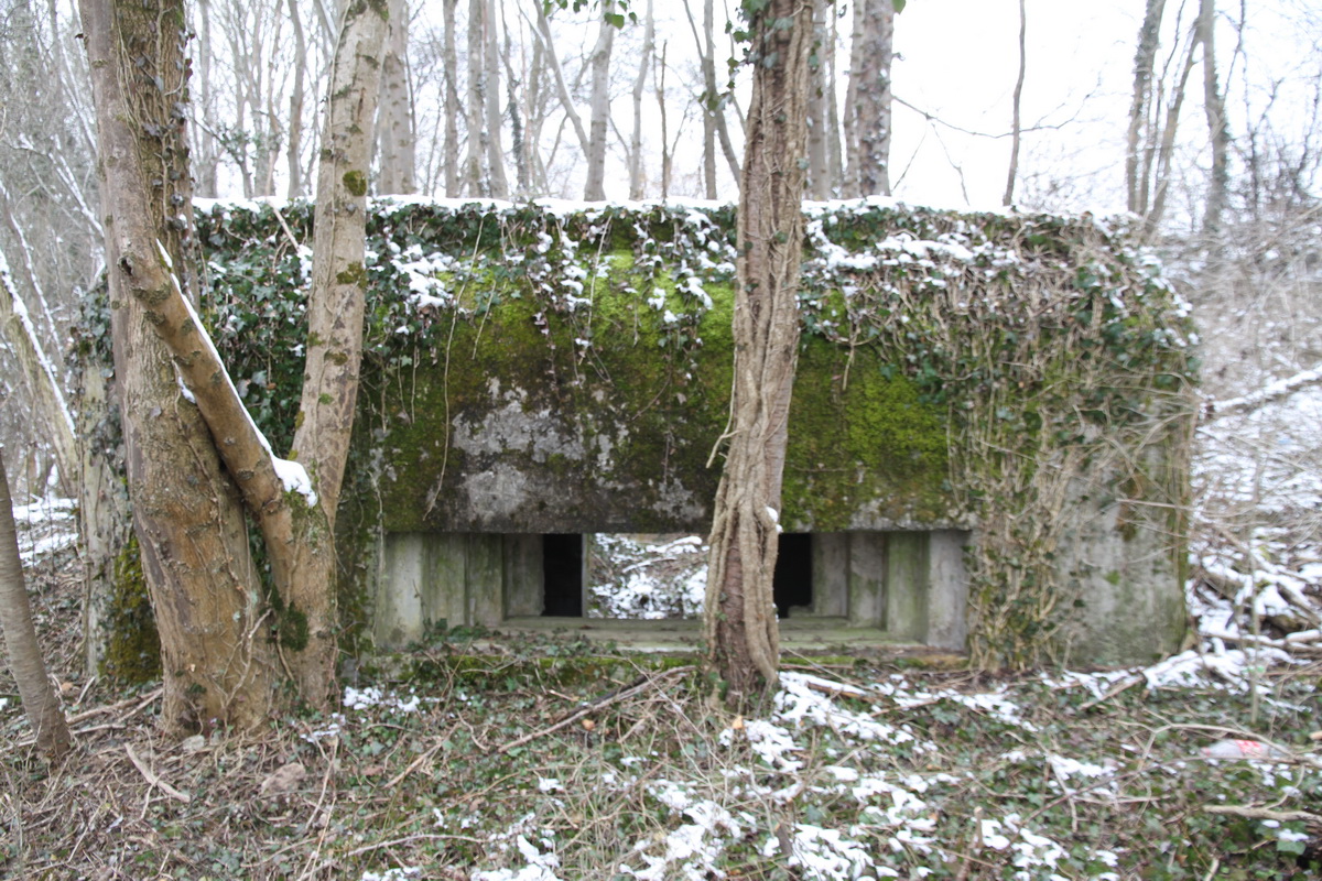 Ligne Maginot - KOETZINGUE 2 (Blockhaus pour canon) -  - Alain Perouffe