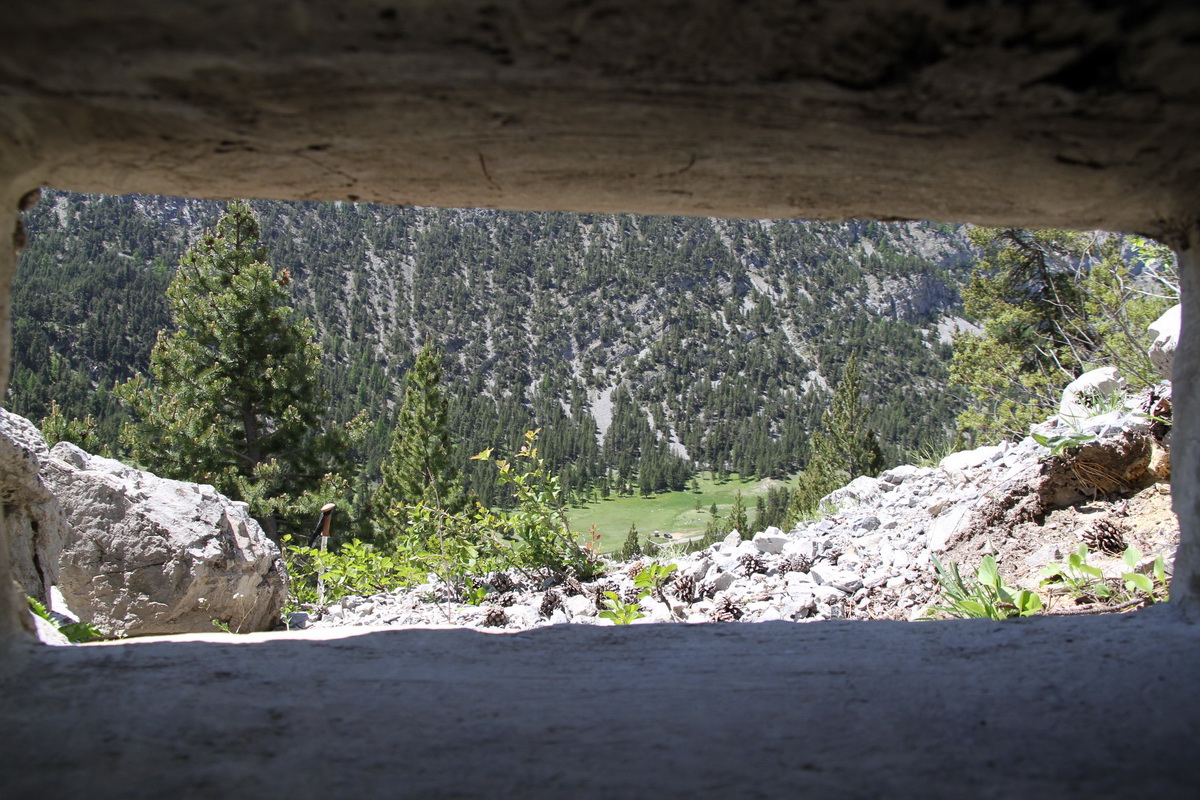 Ligne Maginot - COL DE L'ECHELLE 2 - (Blockhaus pour arme infanterie) -  - Alain Perouffe