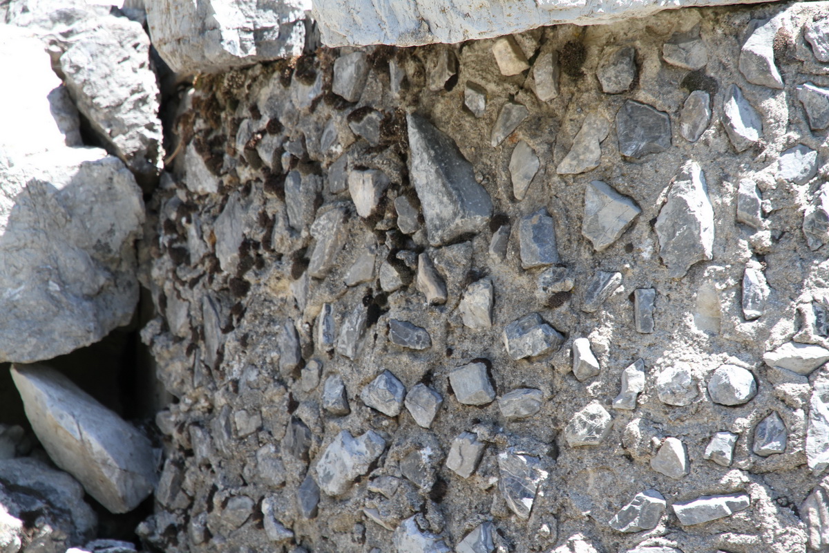 Ligne Maginot - COL DE L'ECHELLE 2 - (Blockhaus pour arme infanterie) - Détail du camouflage - Alain Perouffe