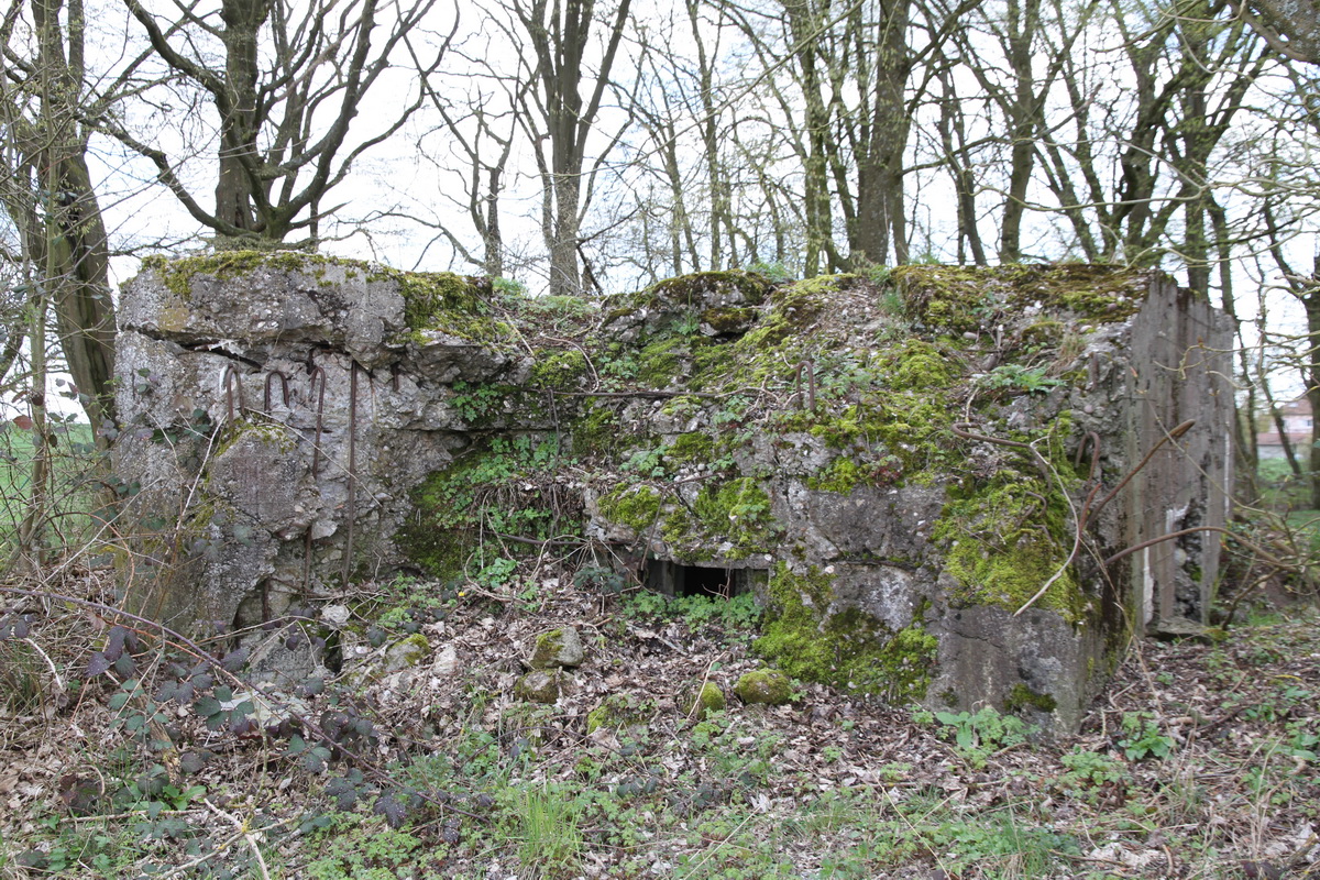 Ligne Maginot - M11 - BARST NORD-EST - (Blockhaus pour arme infanterie) -  - Alain Perouffe
