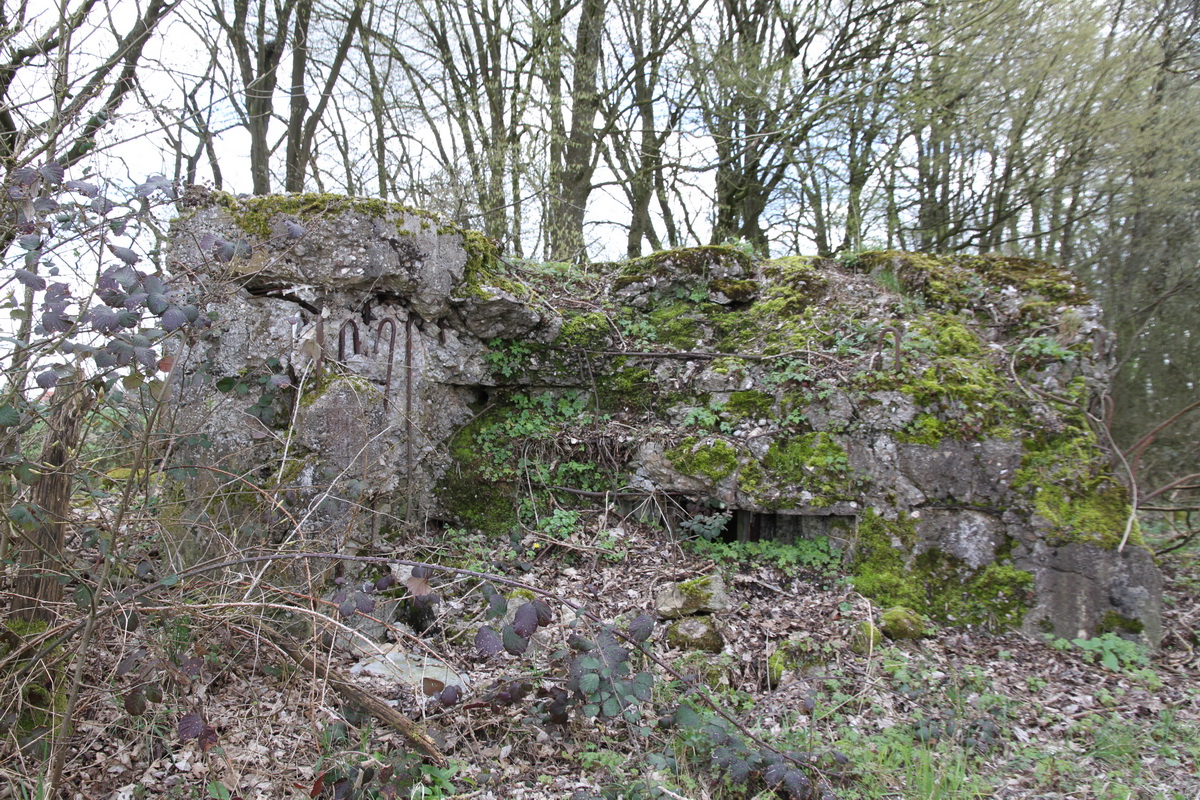 Ligne Maginot - M11 - BARST NORD-EST - (Blockhaus pour arme infanterie) -  - Alain Perouffe