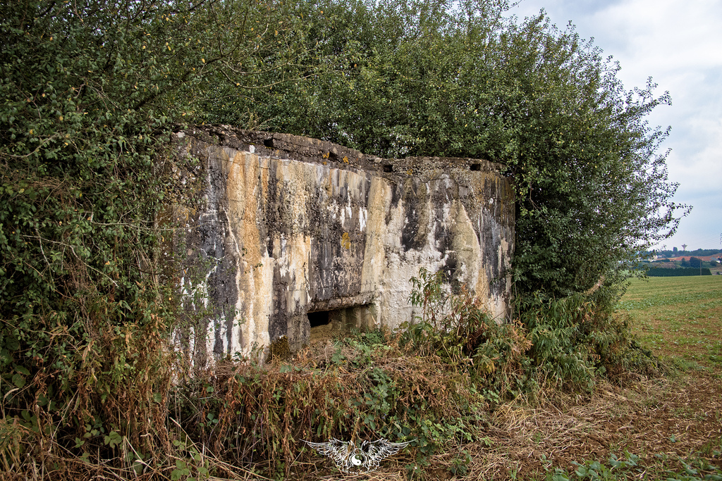 Ligne Maginot - REDOUTE DU BEL ARBRE - (Blockhaus de type indéterminé) - Face  - Thierry Caland