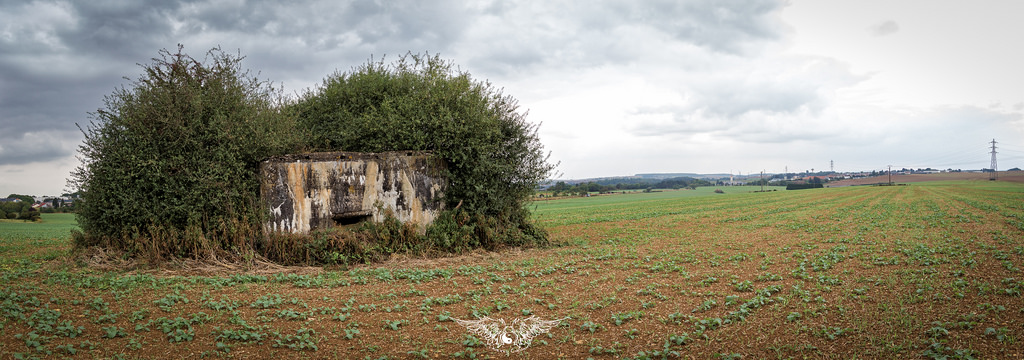 Ligne Maginot - REDOUTE DU BEL ARBRE - (Blockhaus de type indéterminé) - Panoramique - Thierry Caland