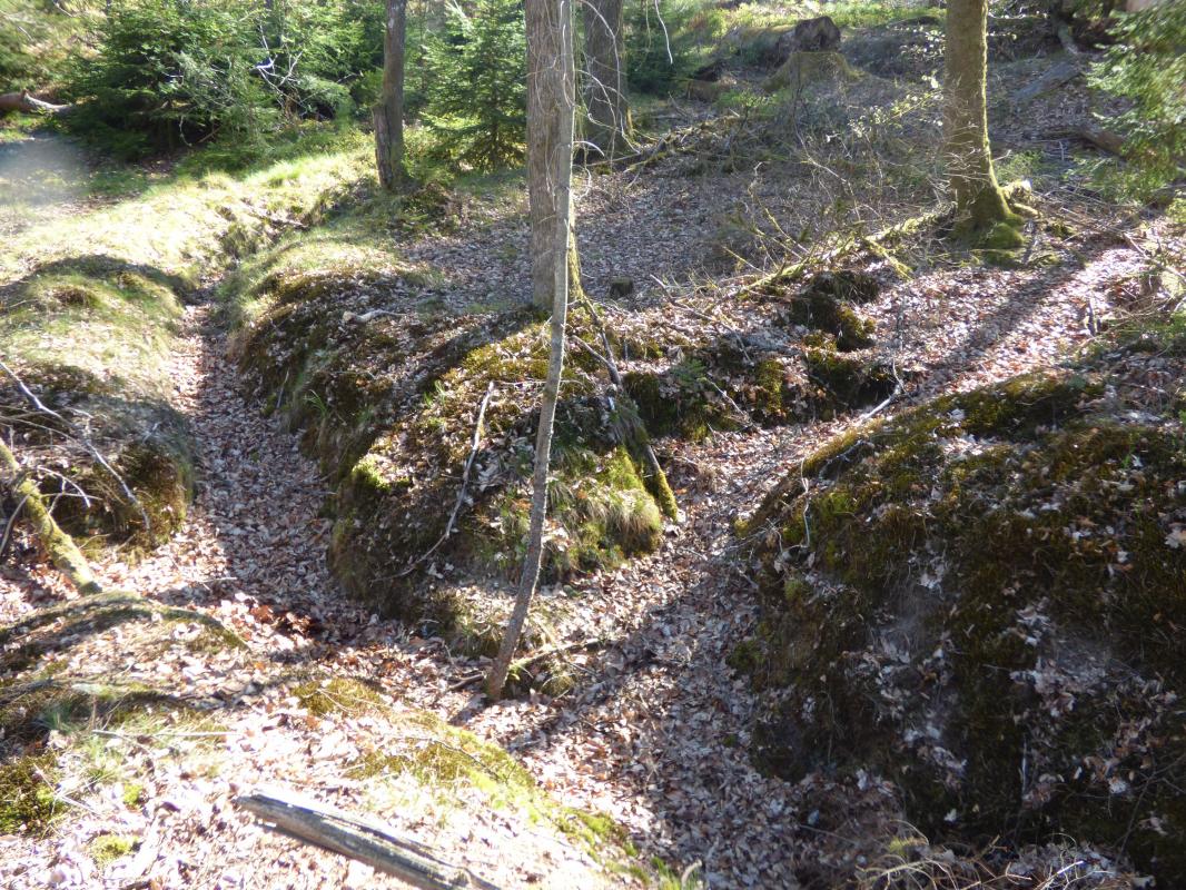 Ligne Maginot - SCHOENTHAL - (Position d'artillerie préparée) - Rejoignement des tranchées - Xavier FATH