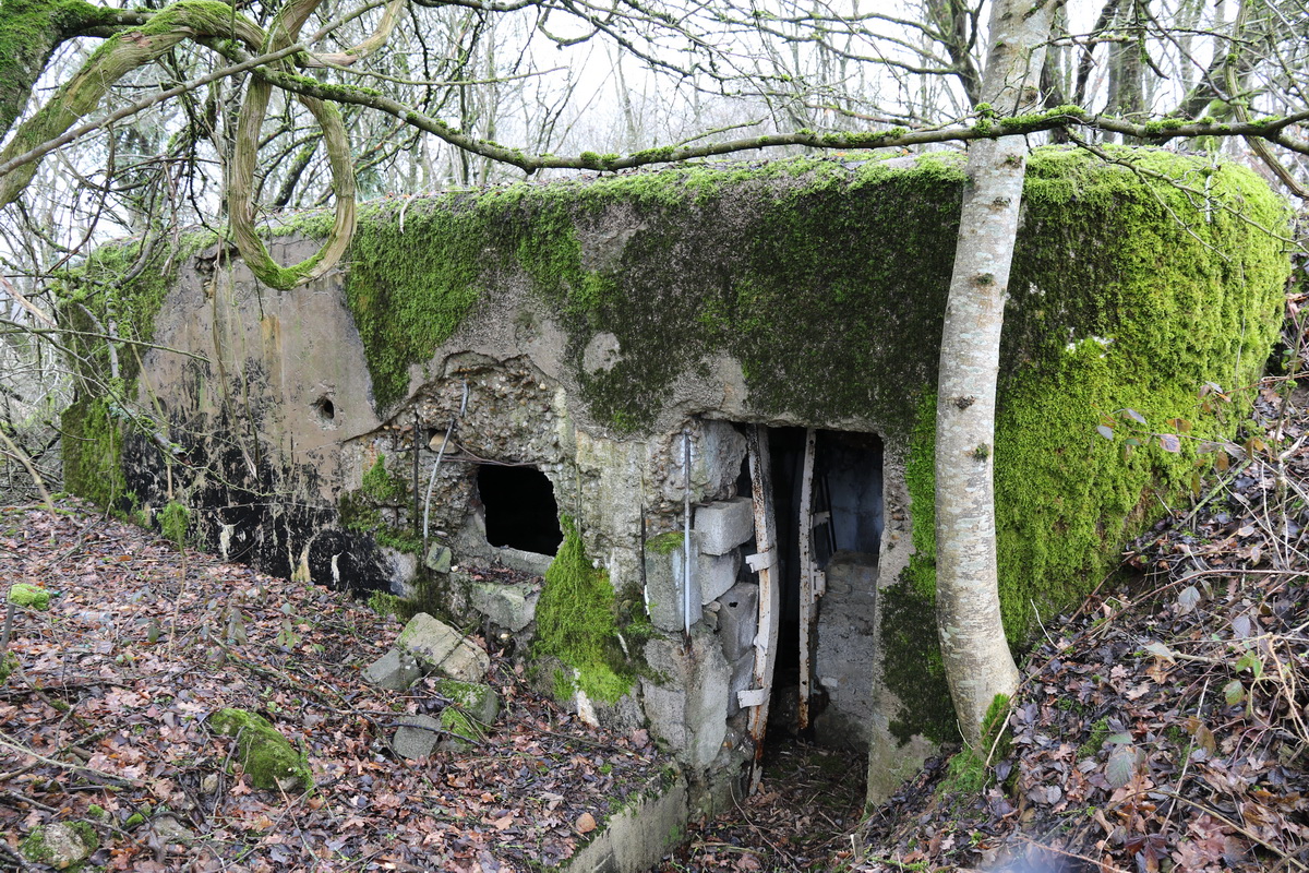 Ligne Maginot - DB15 - (Blockhaus pour canon) -  - Alain Perouffe