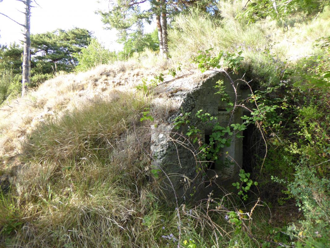 Ligne Maginot - COL DE BRAUS EST 3 - (Abri) - Abri - ELLENA-CUNY