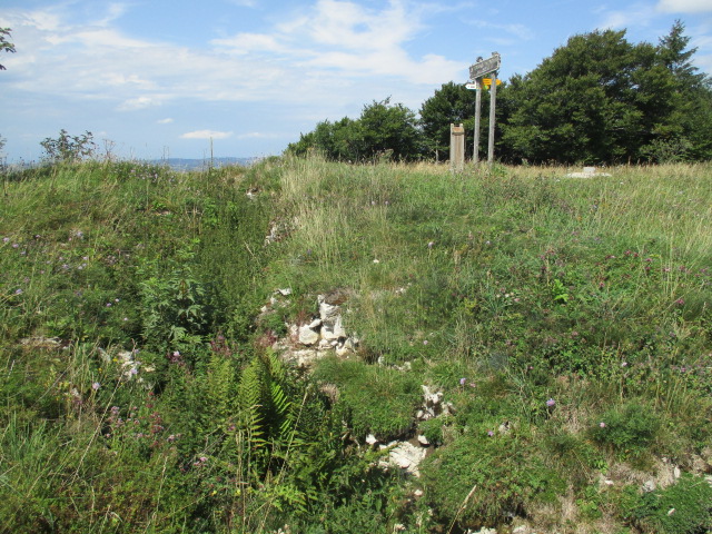 Ligne Maginot - GRAND TAUREAU - (Blockhaus pour arme infanterie) - Tranchée accédant au blockhaus du Grand taureau - Randonneur62