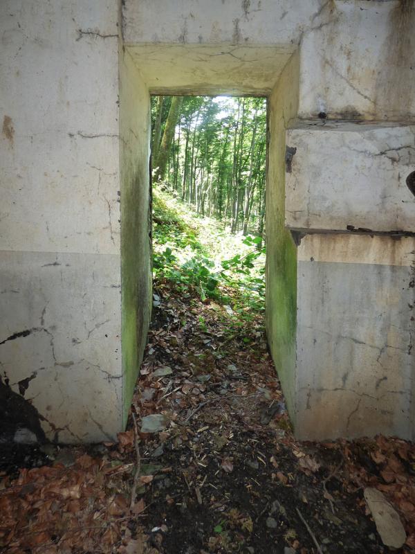 Ligne Maginot - A63 - NOUZONVILLE - (Casemate d'artillerie) -  - JMBrams