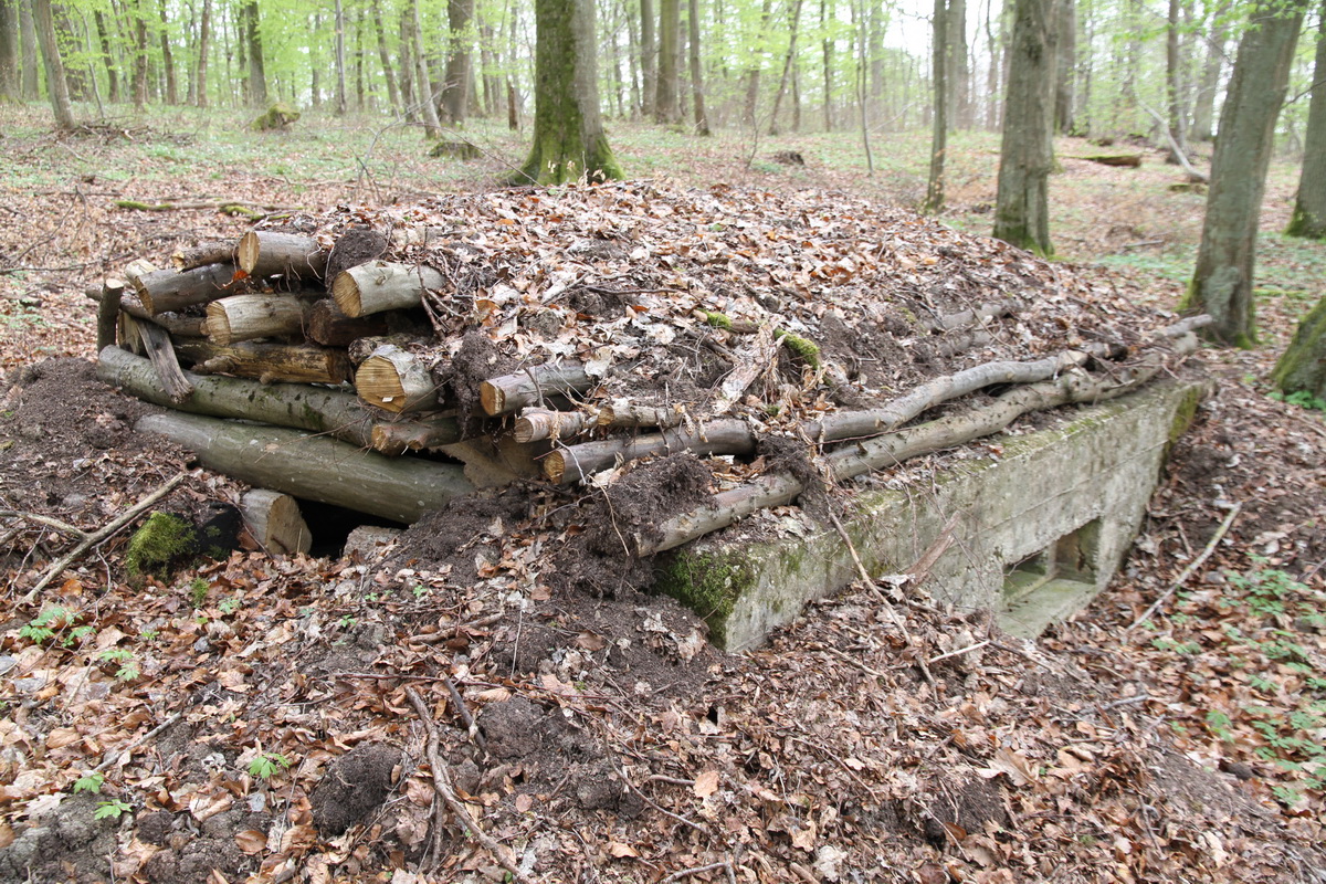 Ligne Maginot - KALMERICH 2 - (Blockhaus pour arme infanterie) -  - Alain Perouffe