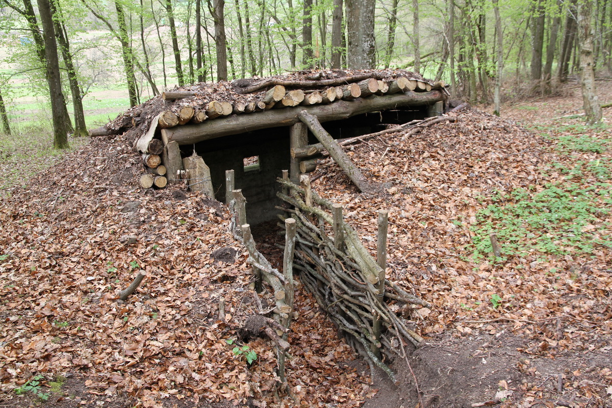 Ligne Maginot - KALMERICH 2 - (Blockhaus pour arme infanterie) -  - Alain Perouffe