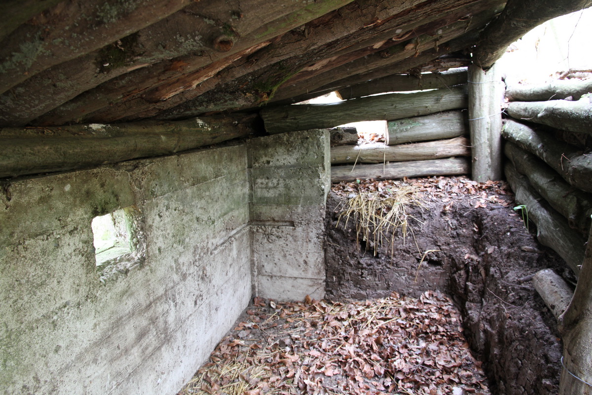 Ligne Maginot - KALMERICH 2 - (Blockhaus pour arme infanterie) -  - Alain Perouffe