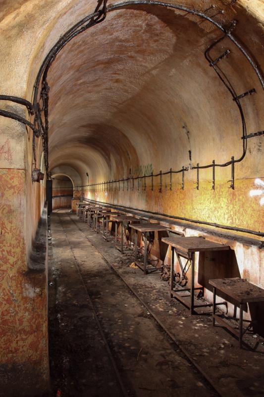 Ligne Maginot - MONT DES WELCHES - A21 - (Ouvrage d'artillerie) -  - Arnault JL Photo